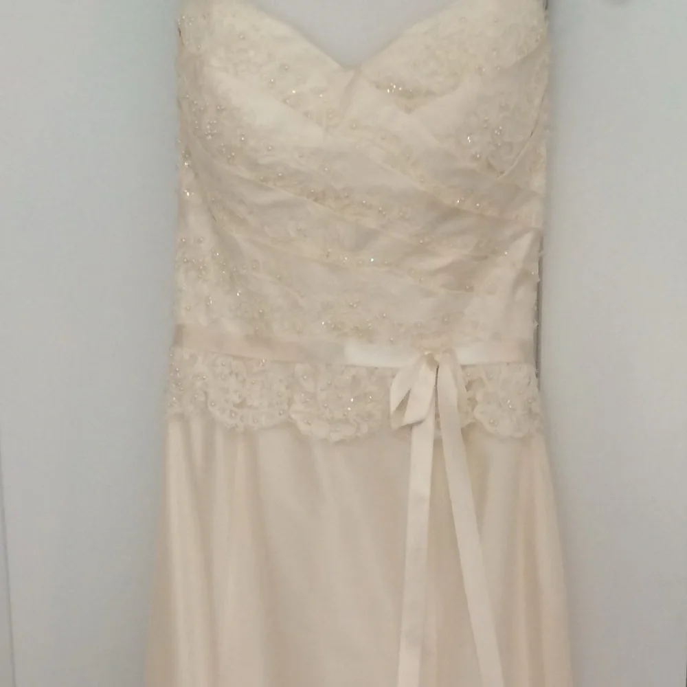 NEW/ NEVER WORN: Paloma Blanca Wedding Dress: style #CA05313 - Picture 12 of 15